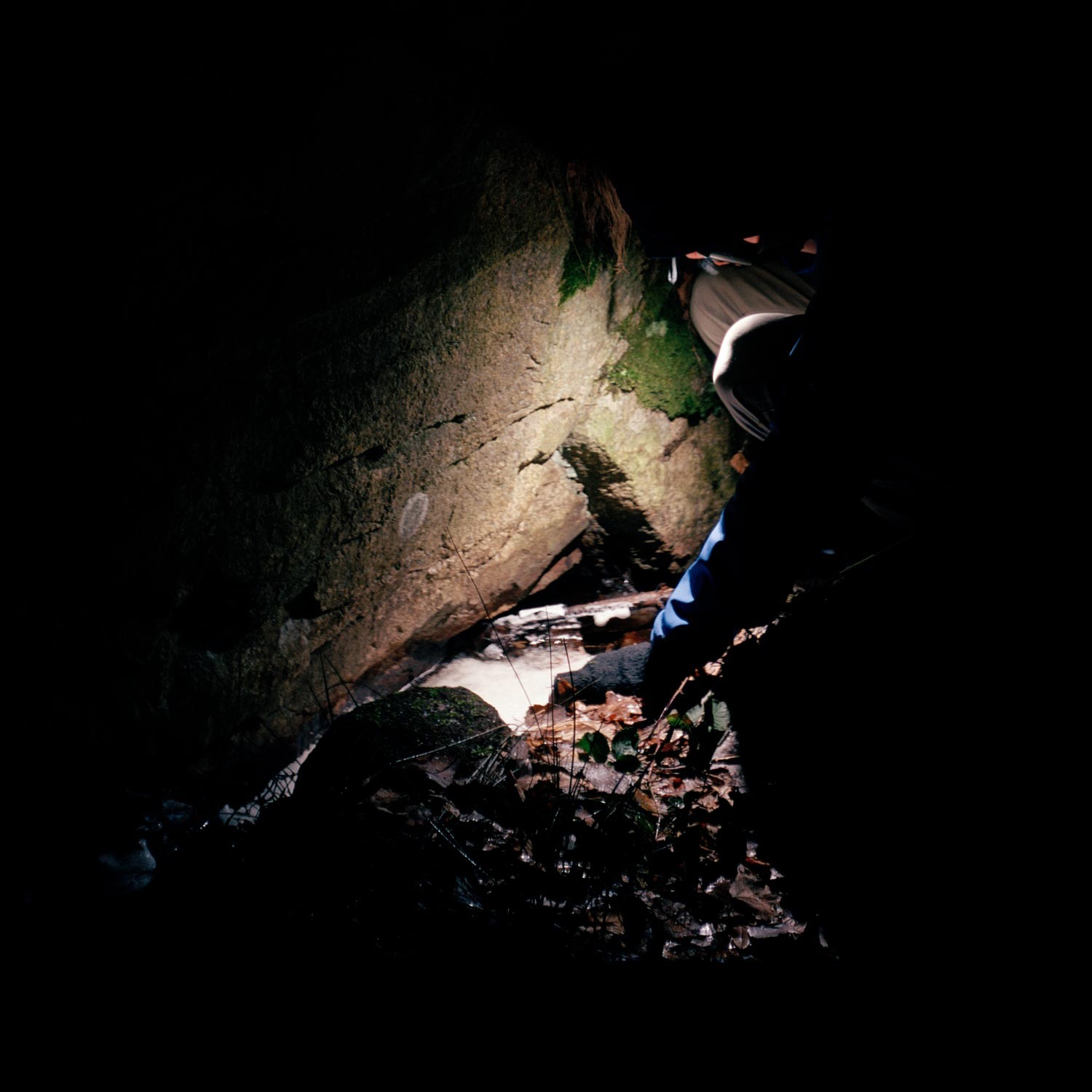 A System of Possible Movements 2